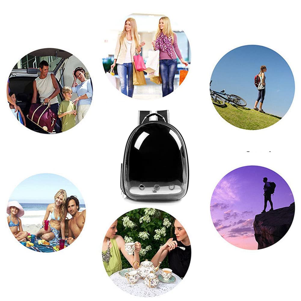 Transparent Bubble Pet Backpack Carrier H227113