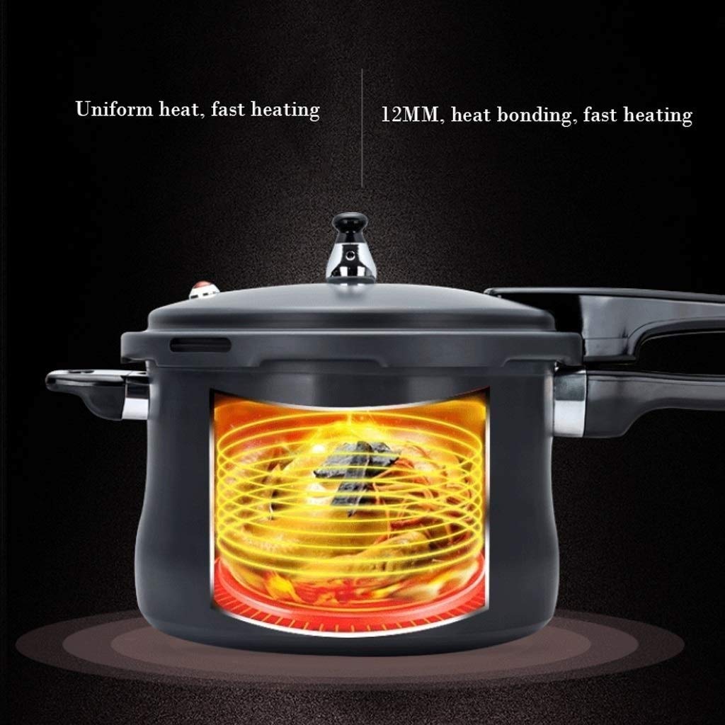 Black 3L Stainless Steel Pressure Cooker H9490