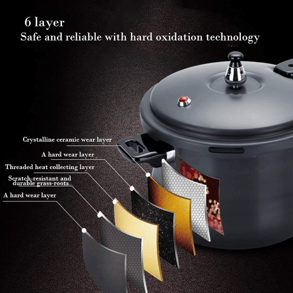 Black 3L Stainless Steel Pressure Cooker H9490