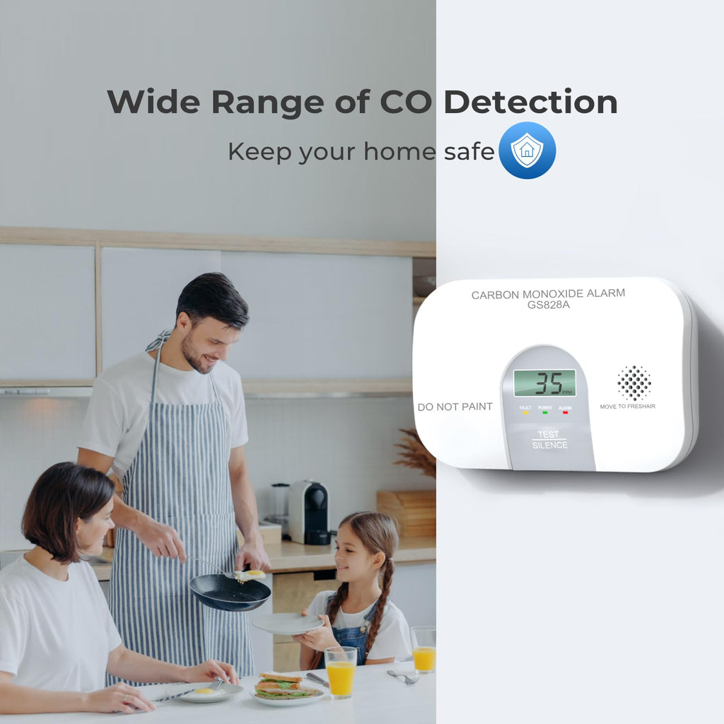 Carbon Monoxide Detector K231