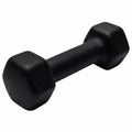 Neoprene Dumbbell Z794