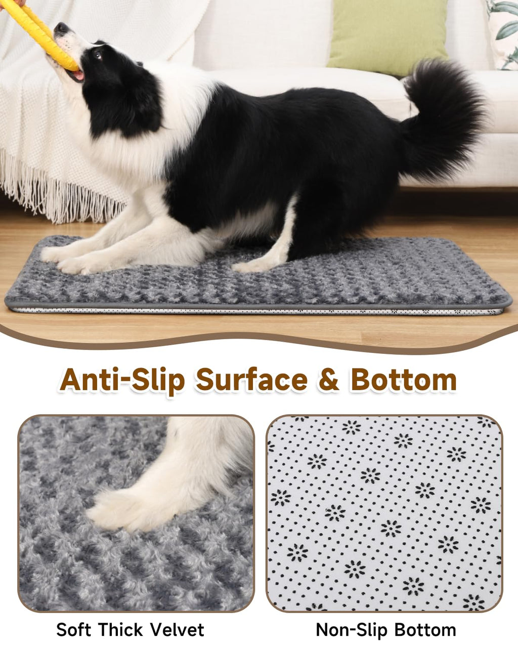 Dark Grey Foam Dog Bed 35x22 K255