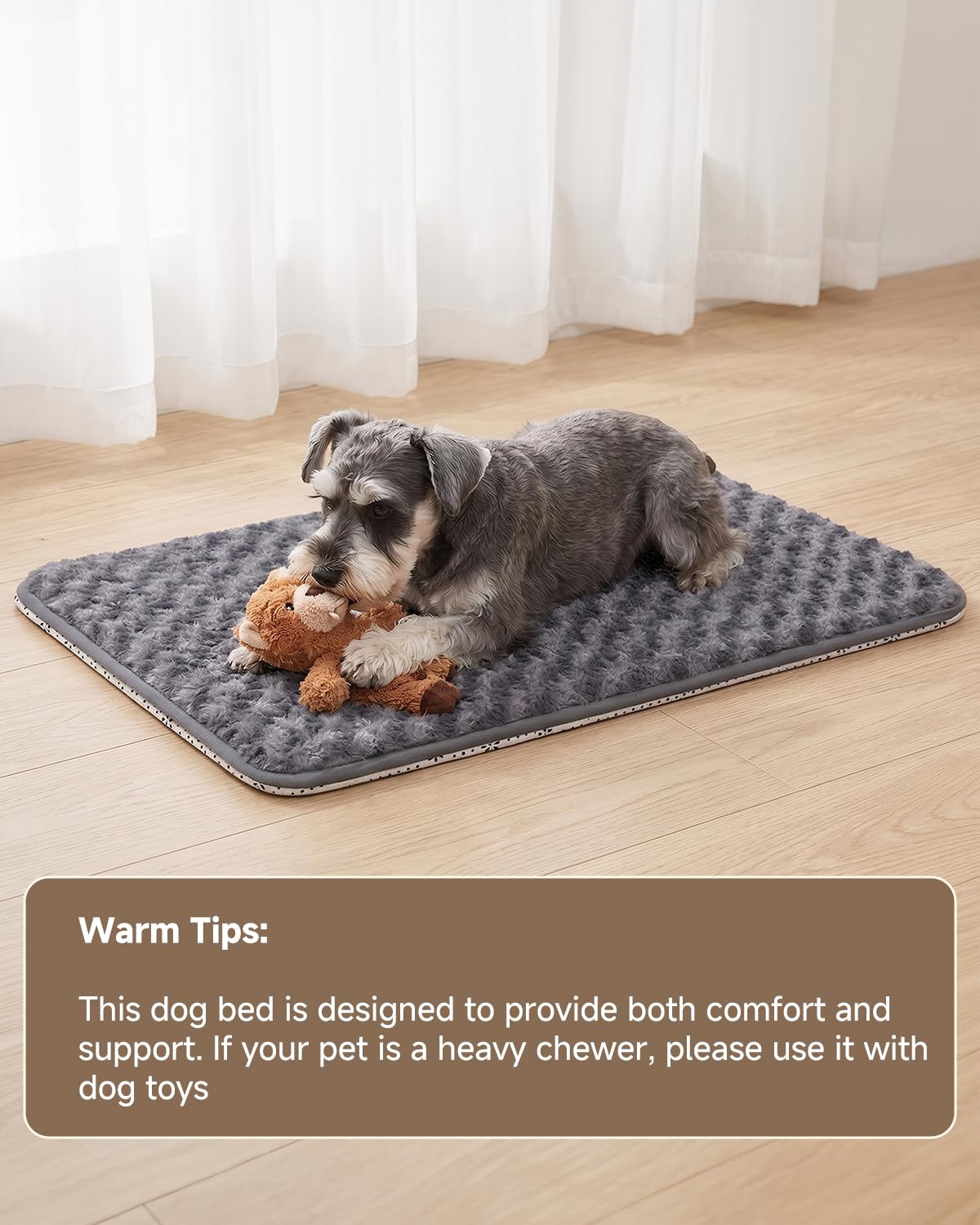 Dark Grey Foam Dog Bed 35x22 K255