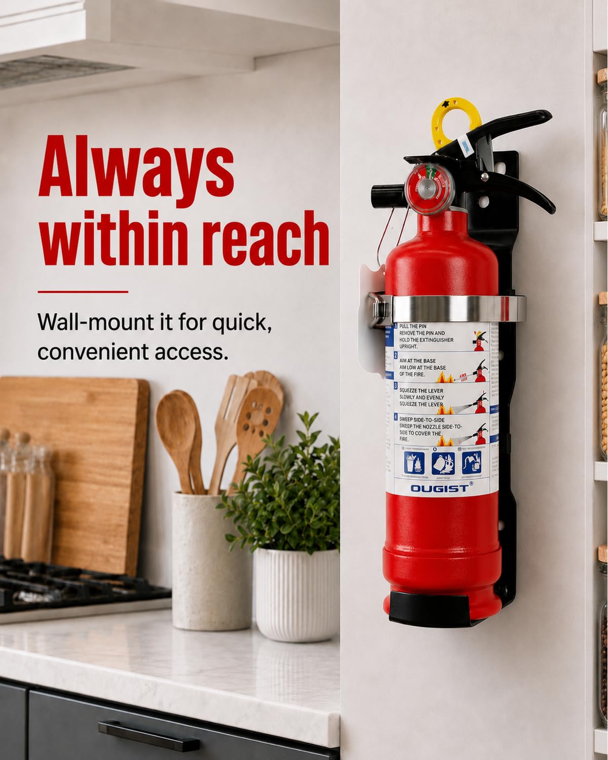 2.5 lb ABC Dry Chemical Fire Extinguisher with Wall Mount Z1069
