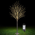 6FT Lighted Birch Tree 500 LED Warm White S66303