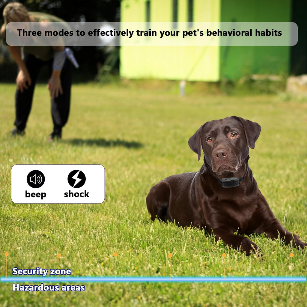 In-Ground Electric Dog Fence System with 2 Collars B48286