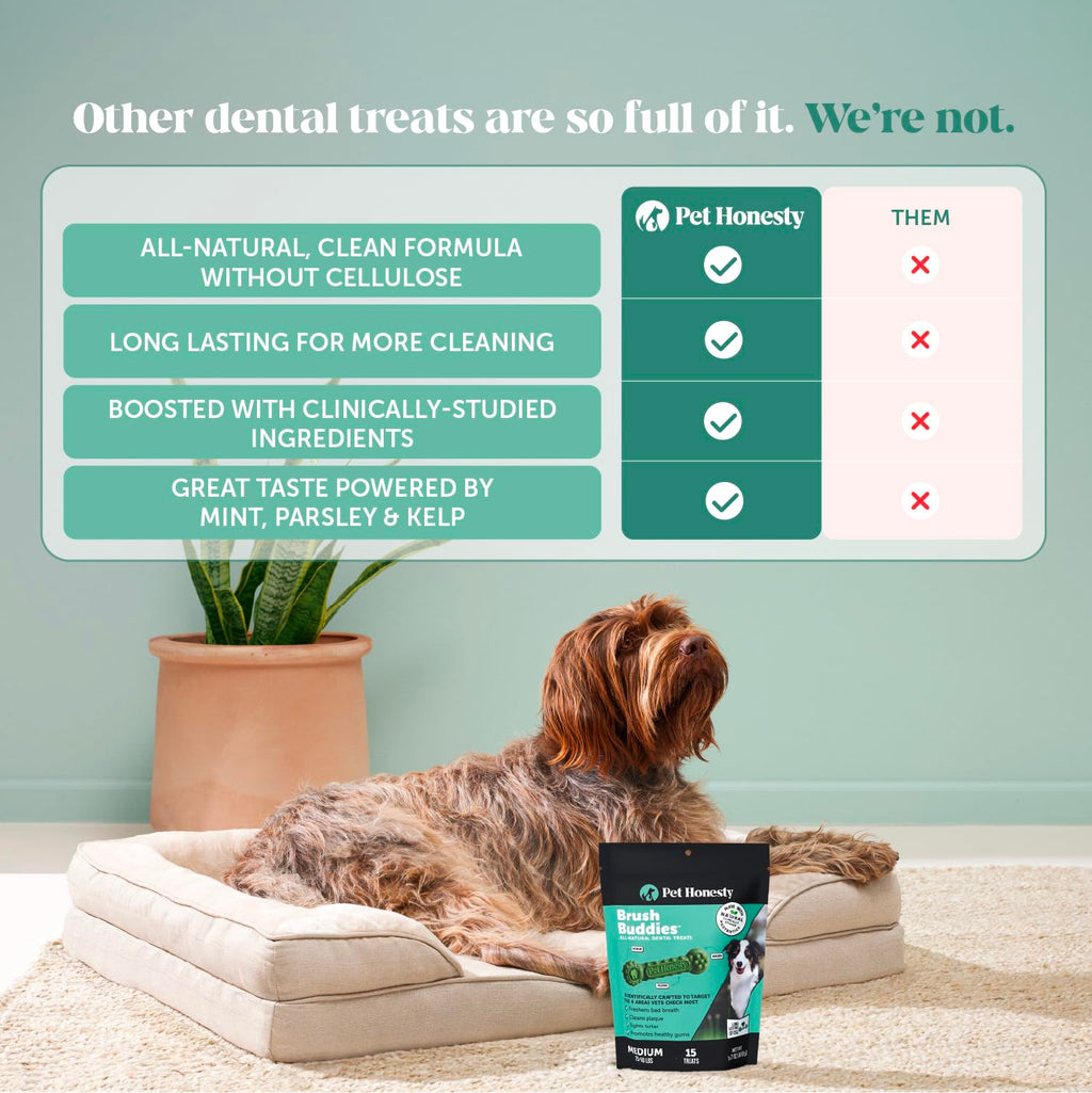 Dog Dental Chews 15 Count V952376