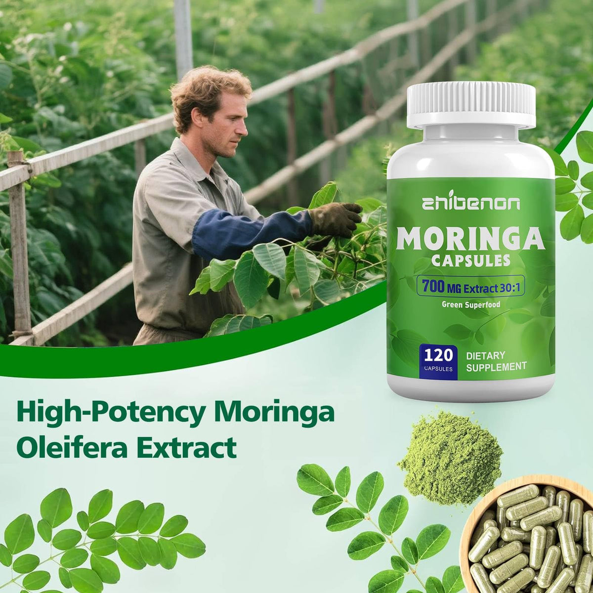 Moringa Oleifera Leaf Extract 120 Capsules 700 mg B31380