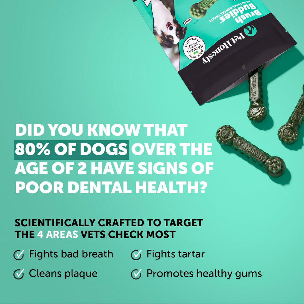 Dog Dental Chews 15 Count V952376