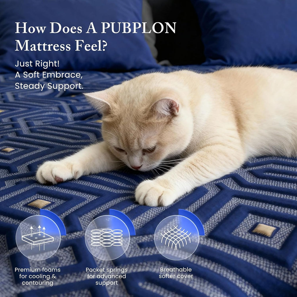 Queen 14 Inch Hybrid Gel Memory Foam Mattress in a Box N703073