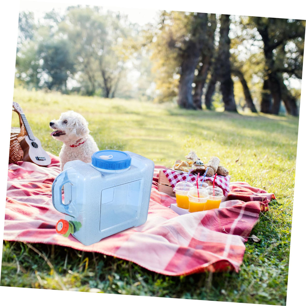 Portable 5L Blue Water Bucket H435