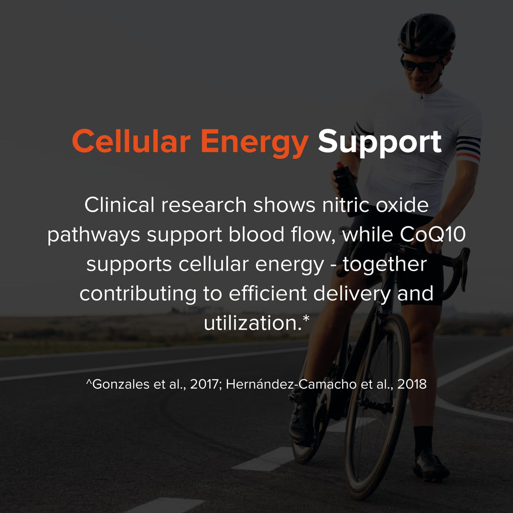 Nitric Oxide Supplement G4890