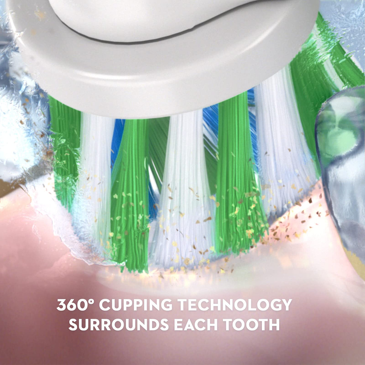 Black and White 2 Count Electric Toothbrush O28777