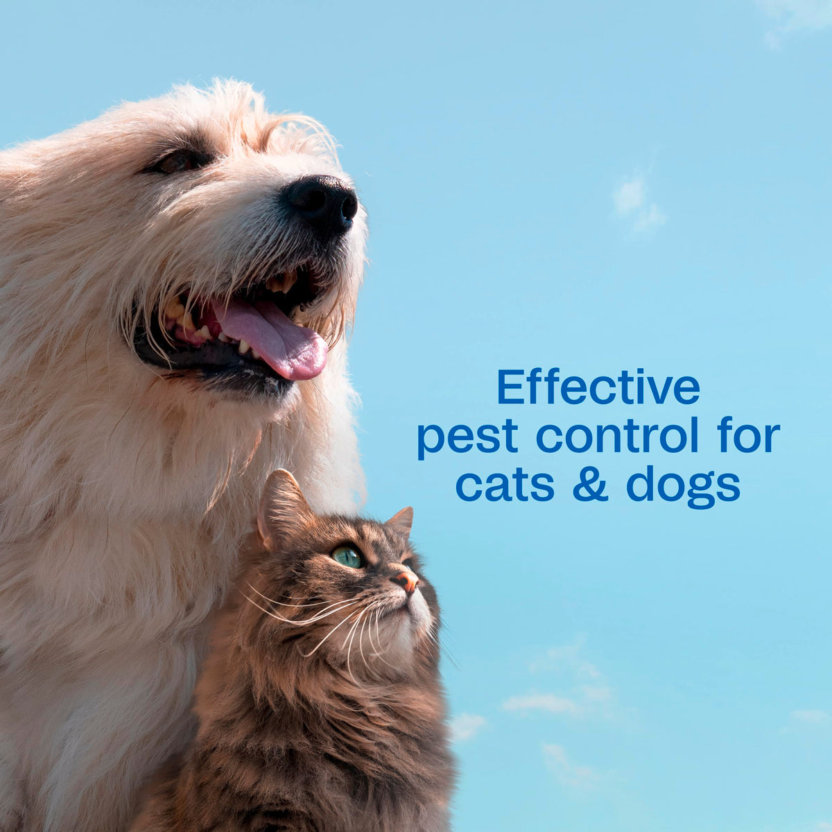 Flea and Tick Spray for Dogs & Cats 16 Fl Oz F3641