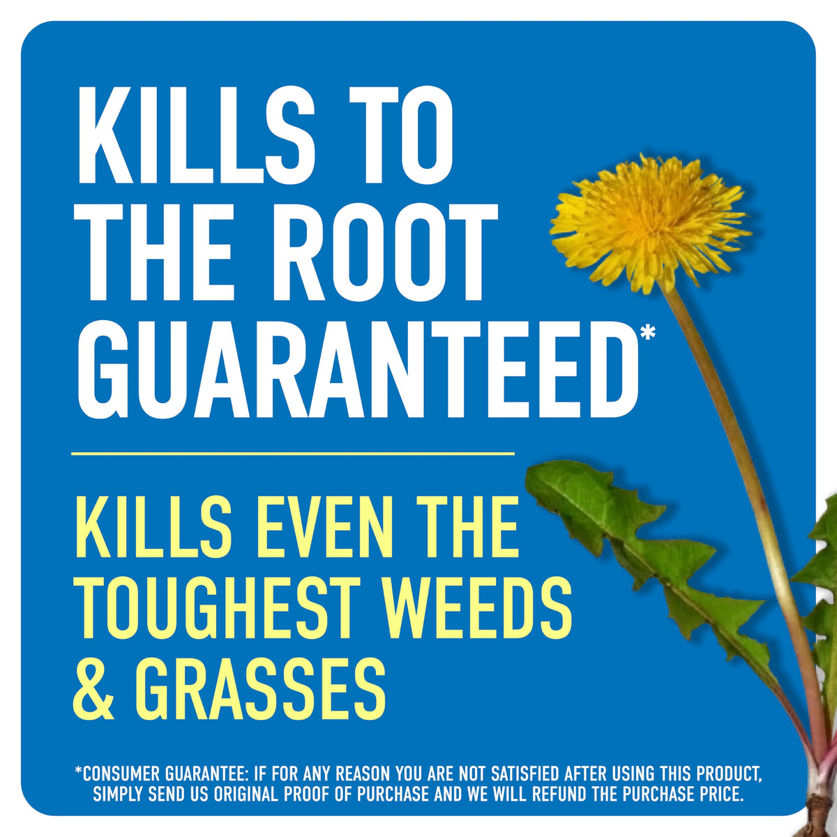 Roundup Weed & Grass Killer₄ with Comfort Wand, 1 gal. Q756227