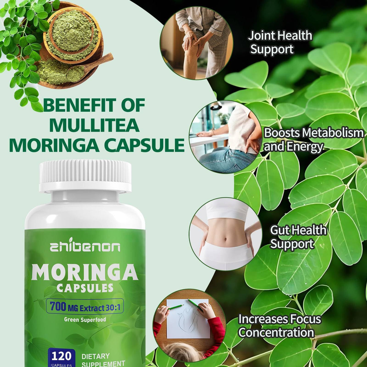 Moringa Oleifera Leaf Extract 120 Capsules 700 mg B31380