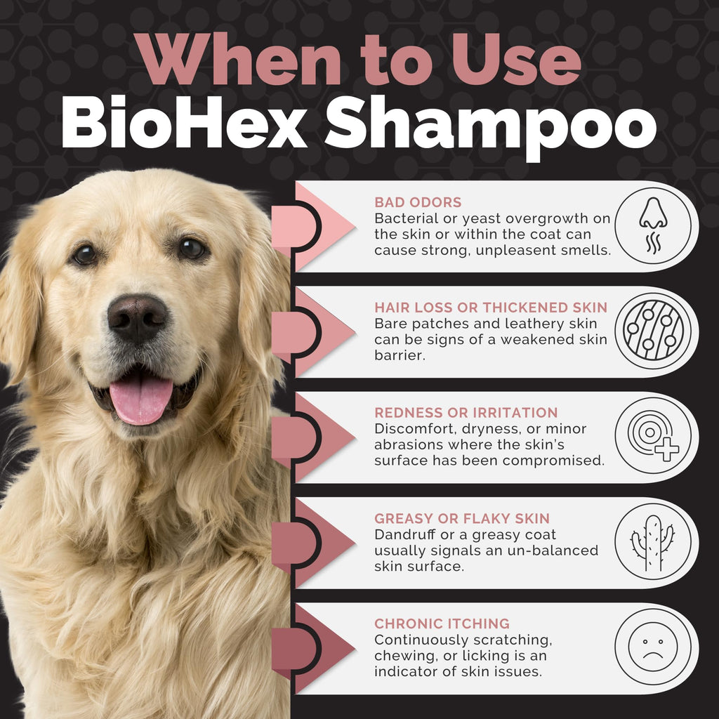 Dog Cat & Horse Shampoo 16oz E343741