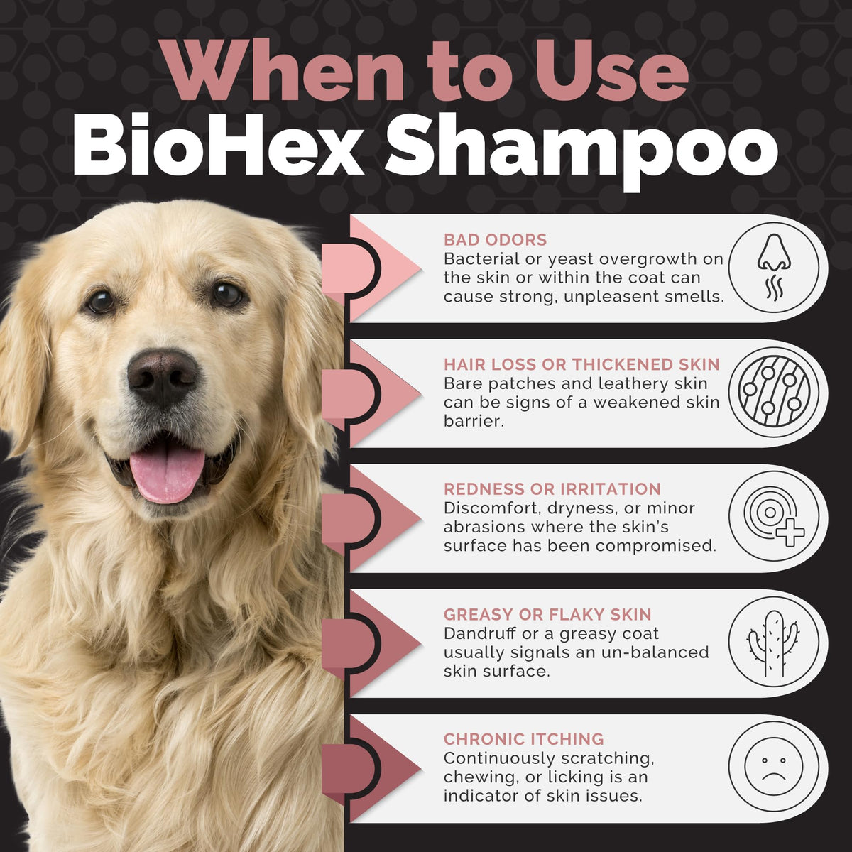 Dog Cat & Horse Shampoo 16oz E343741