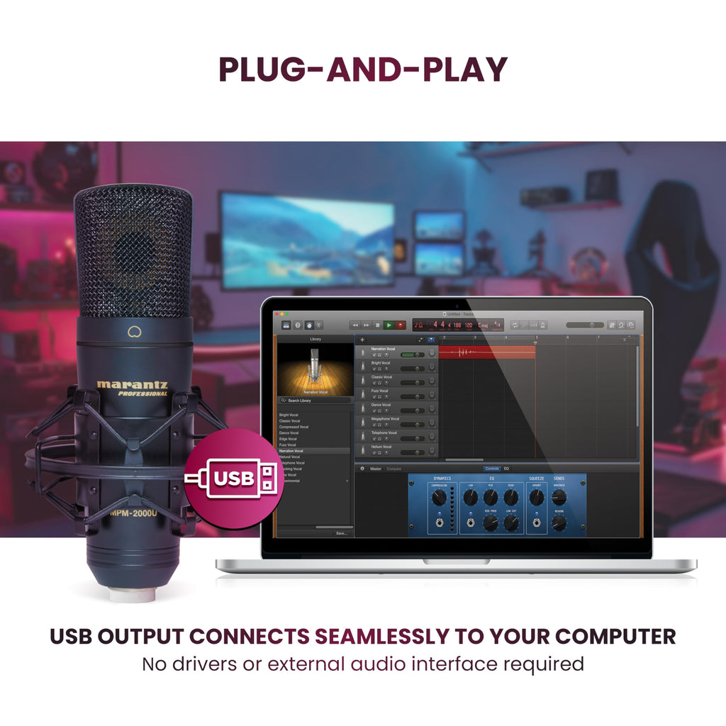 USB Condenser Microphone L12082