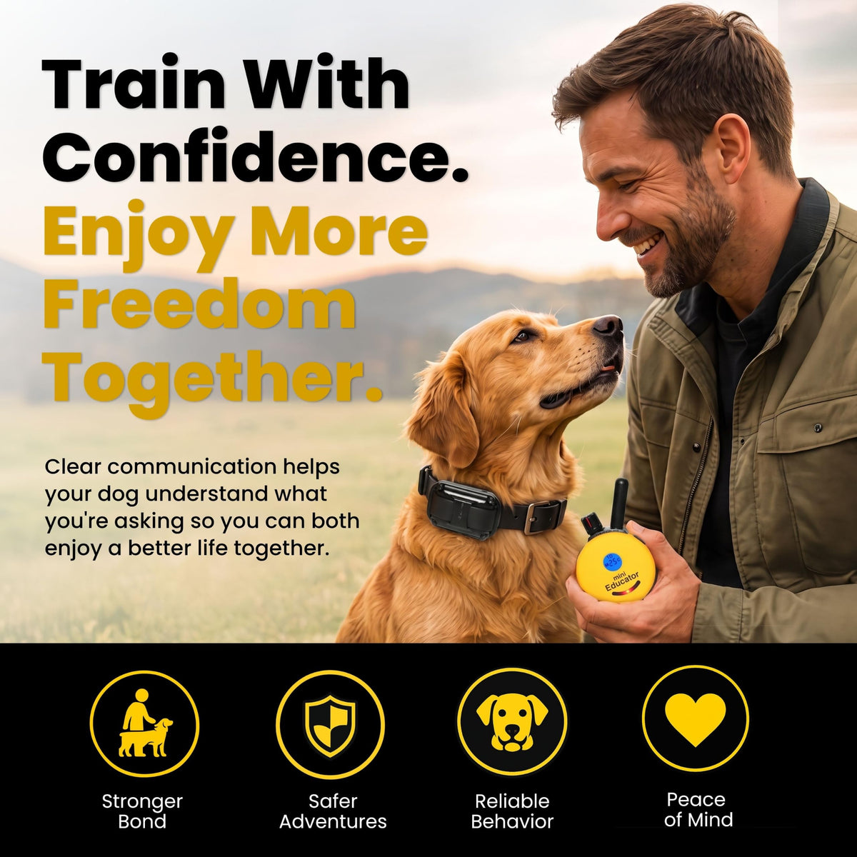 Waterproof Dog Training E Collar with Remote F516409
