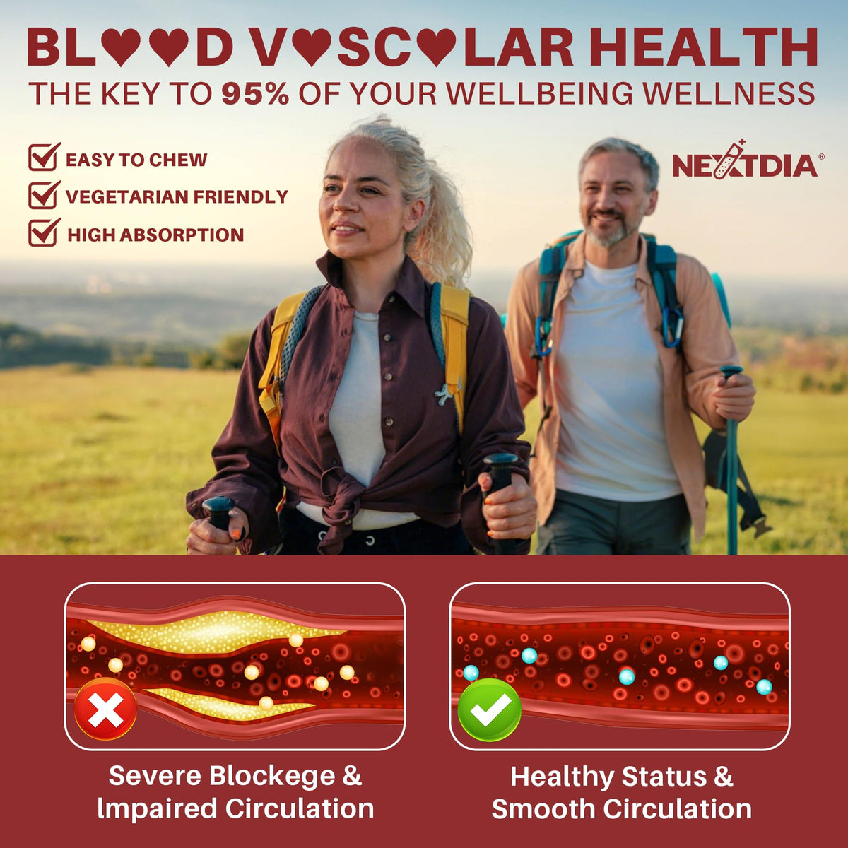 Red Yeast Rice Gummies 2400MG with CoQ10 F8436