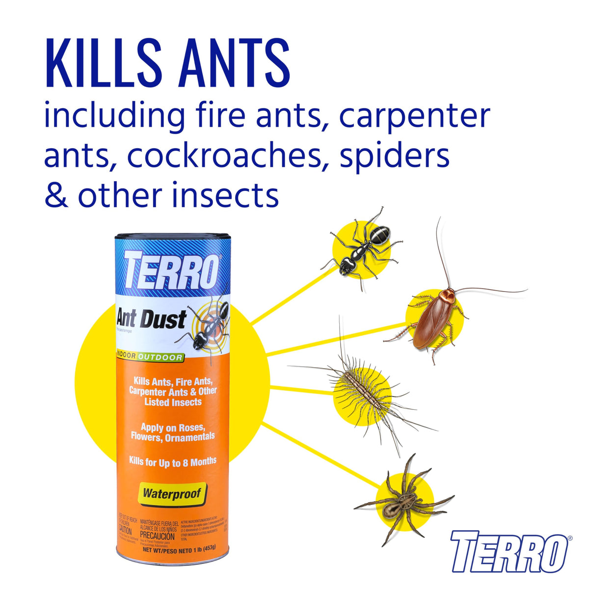 Ant Dust T1294
