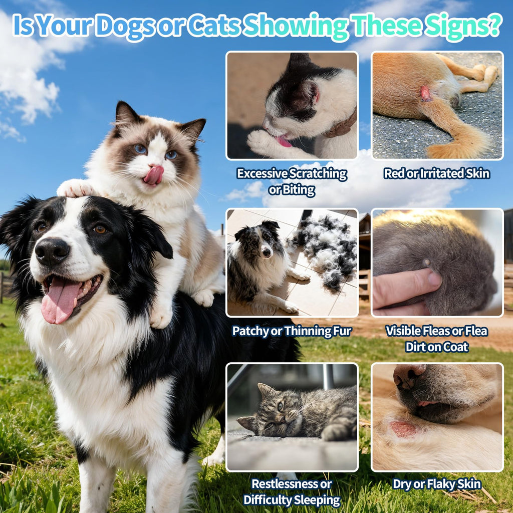 Natural Oral Flea and Tick Drops with Multivitamin for Pets A9326