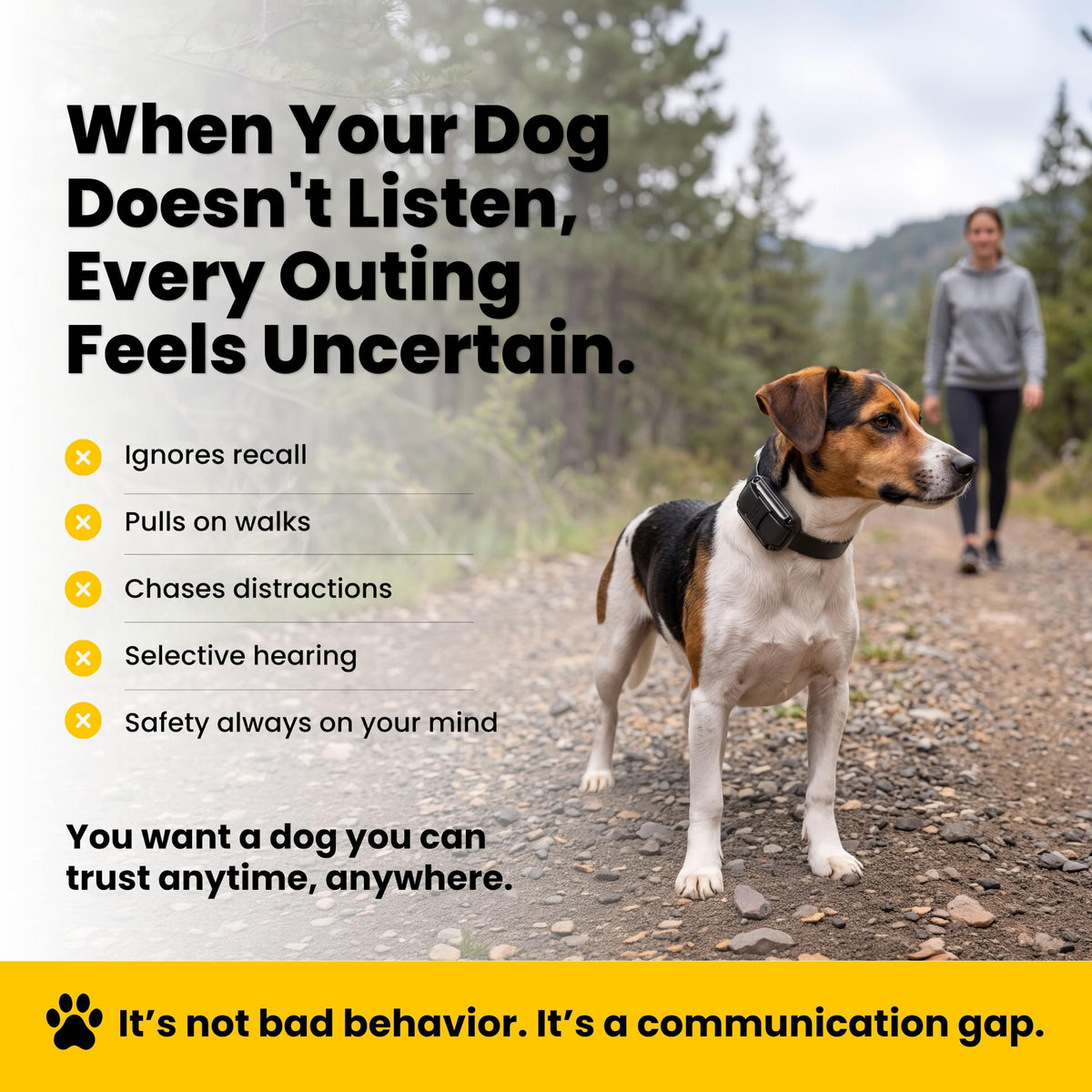 Waterproof Dog Training E Collar with Remote F516409