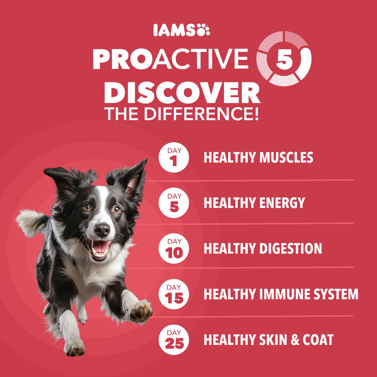 Lamb & Rice Dry Dog Food 30 lb H747