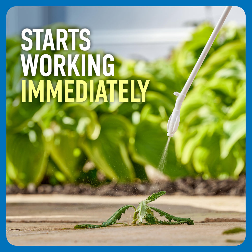 Roundup Weed & Grass Killer₄ with Comfort Wand, 1 gal. Q756227