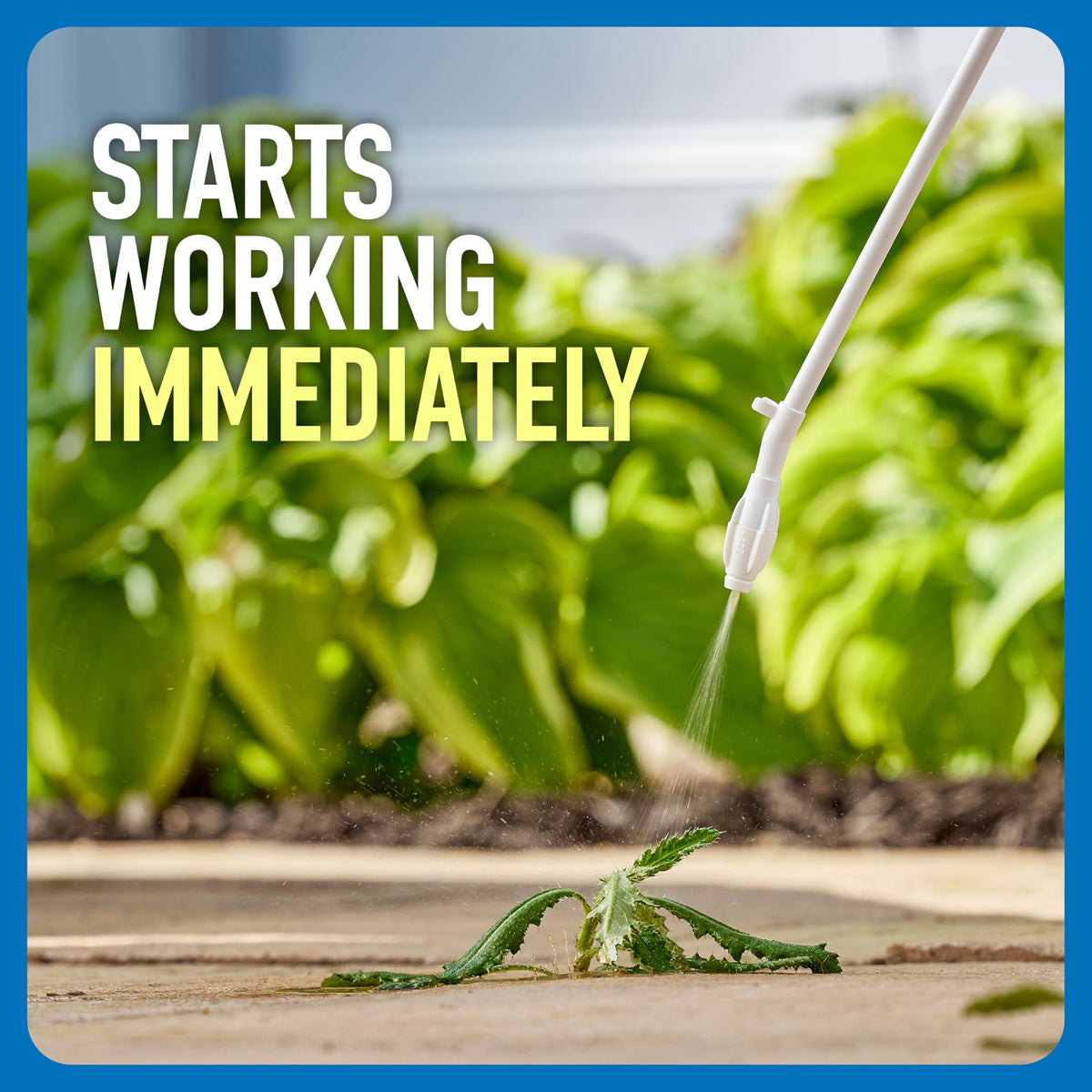 Roundup Weed & Grass Killer₄ with Comfort Wand, 1 gal. Q756227