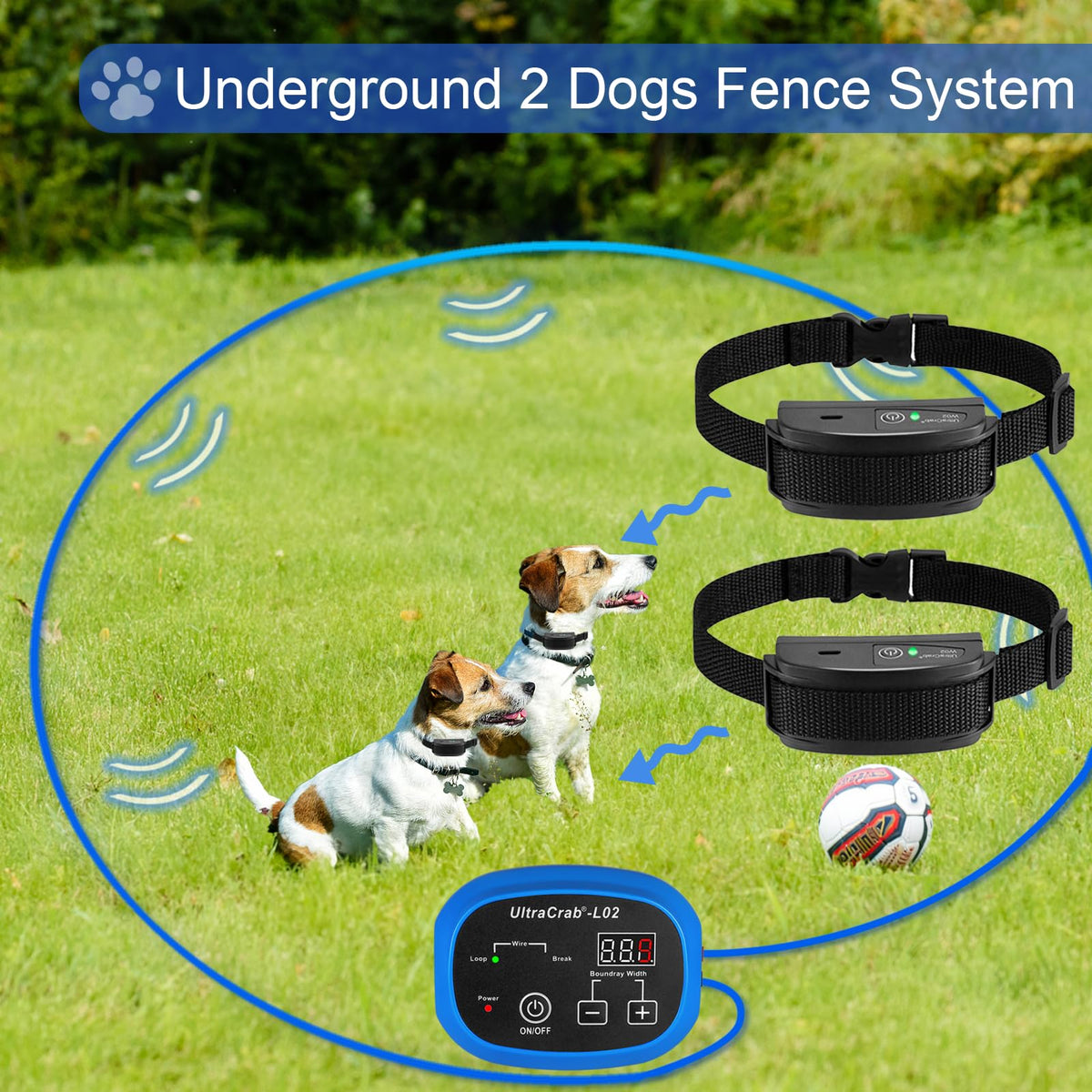 In-Ground Electric Dog Fence System with 2 Collars B48286