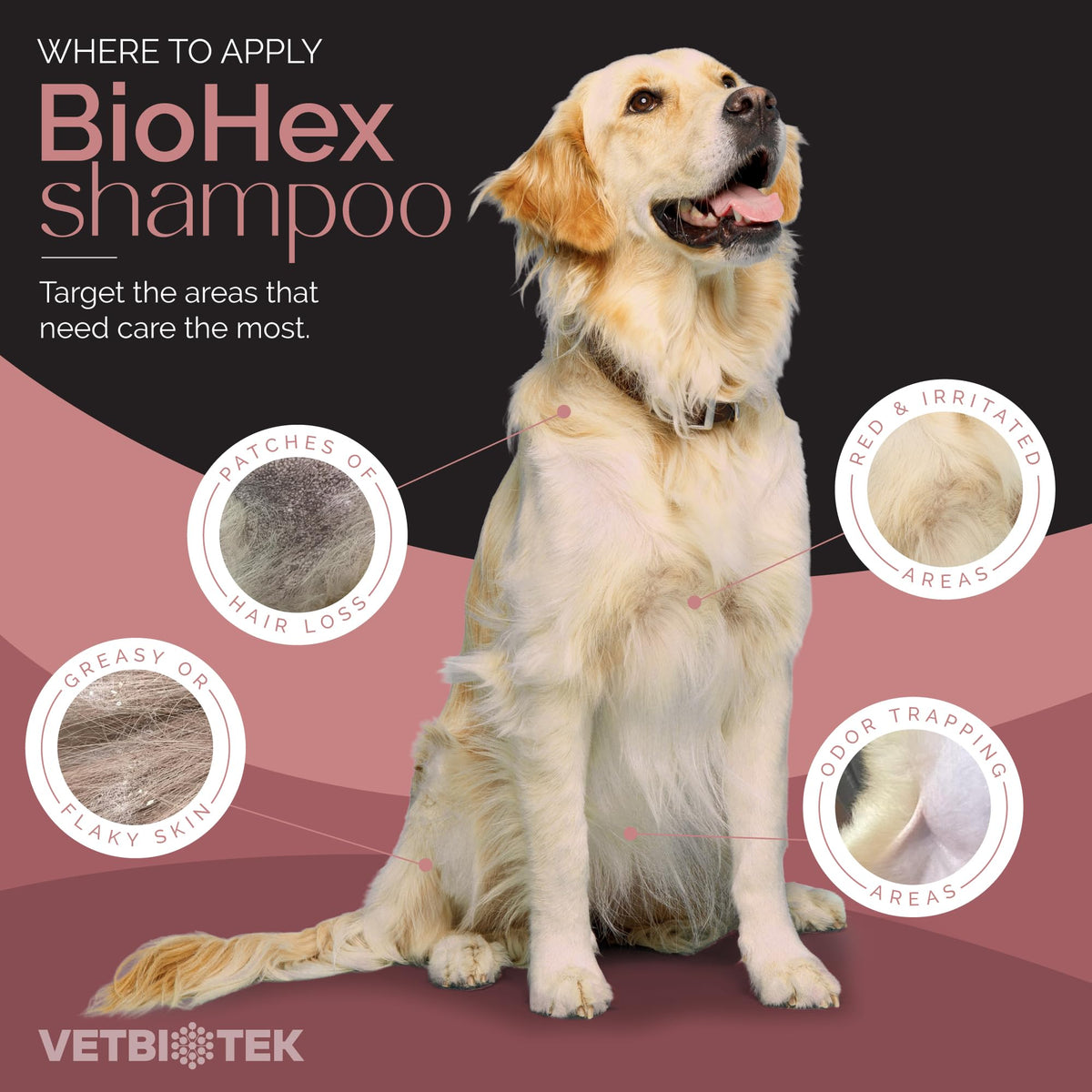 Dog Cat & Horse Shampoo 16oz E343741