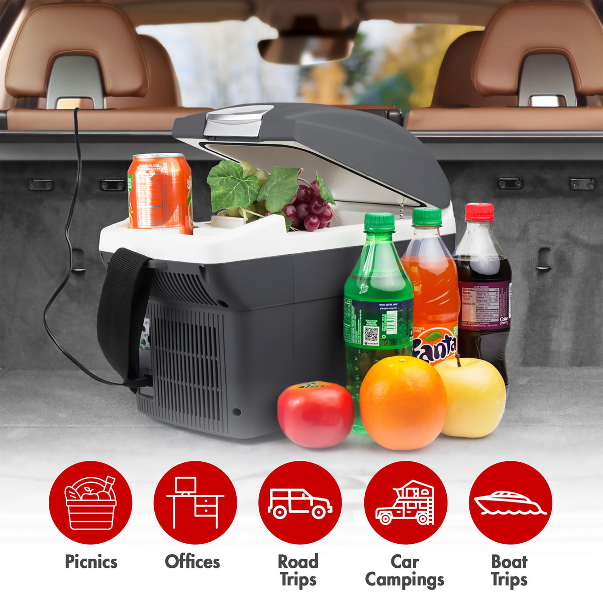 12V 6 Quart Portable Electric Cooler Warmer N843274