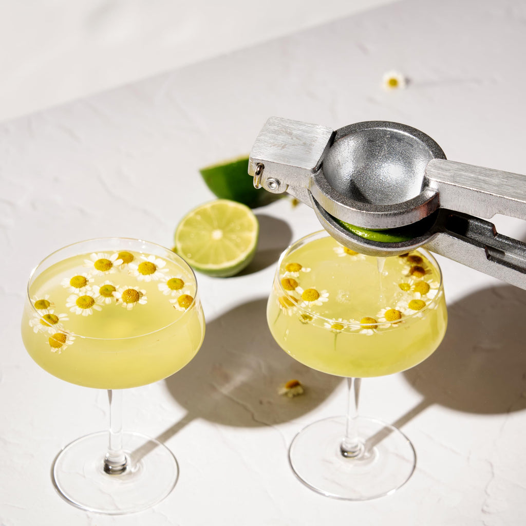 Crystal Coupe Cocktail Glasses Set of 4 P23001
