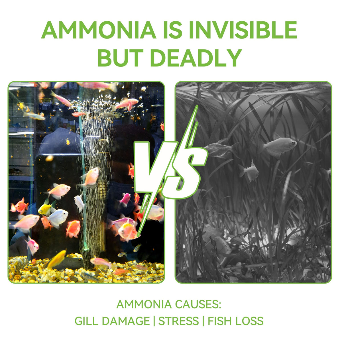 Ammonia Test Strips V65943