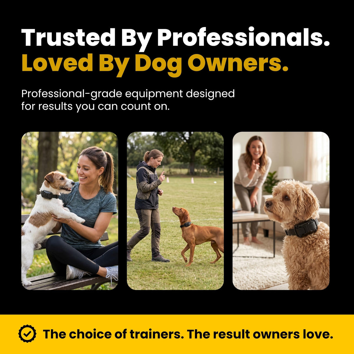 Waterproof Dog Training E Collar with Remote F516409