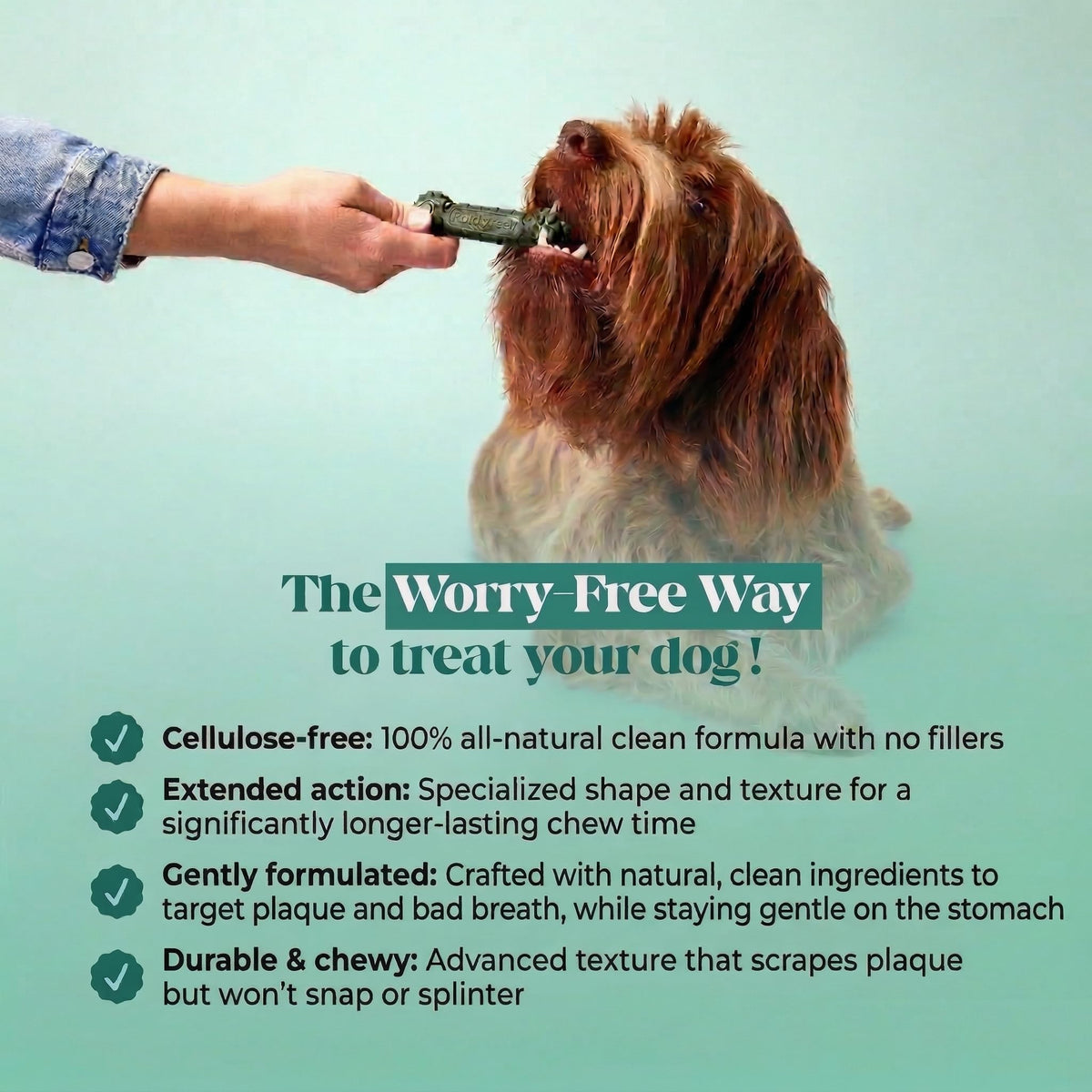 Dog Dental Chews 15 Count V952376