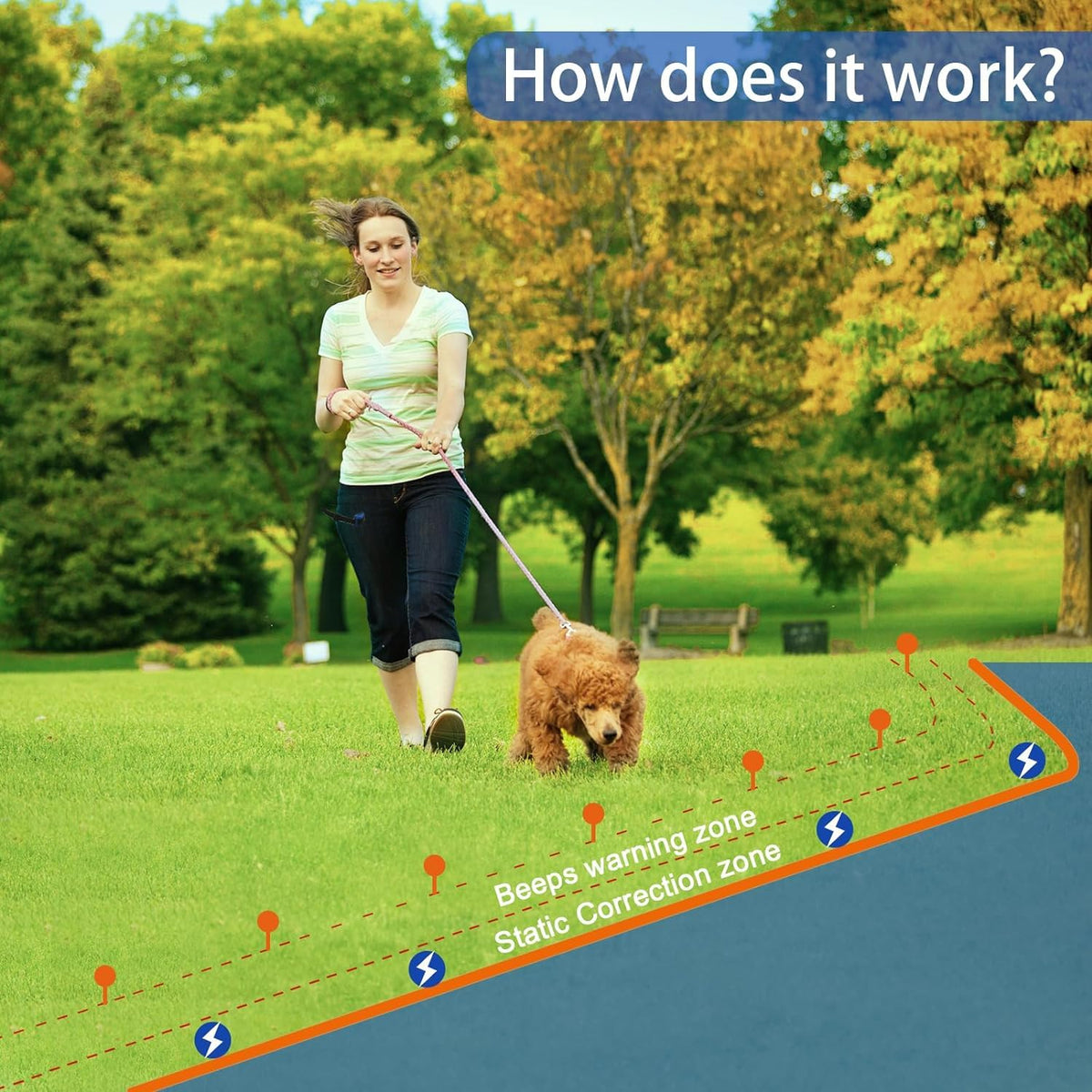 In-Ground Electric Dog Fence System with 2 Collars B48286
