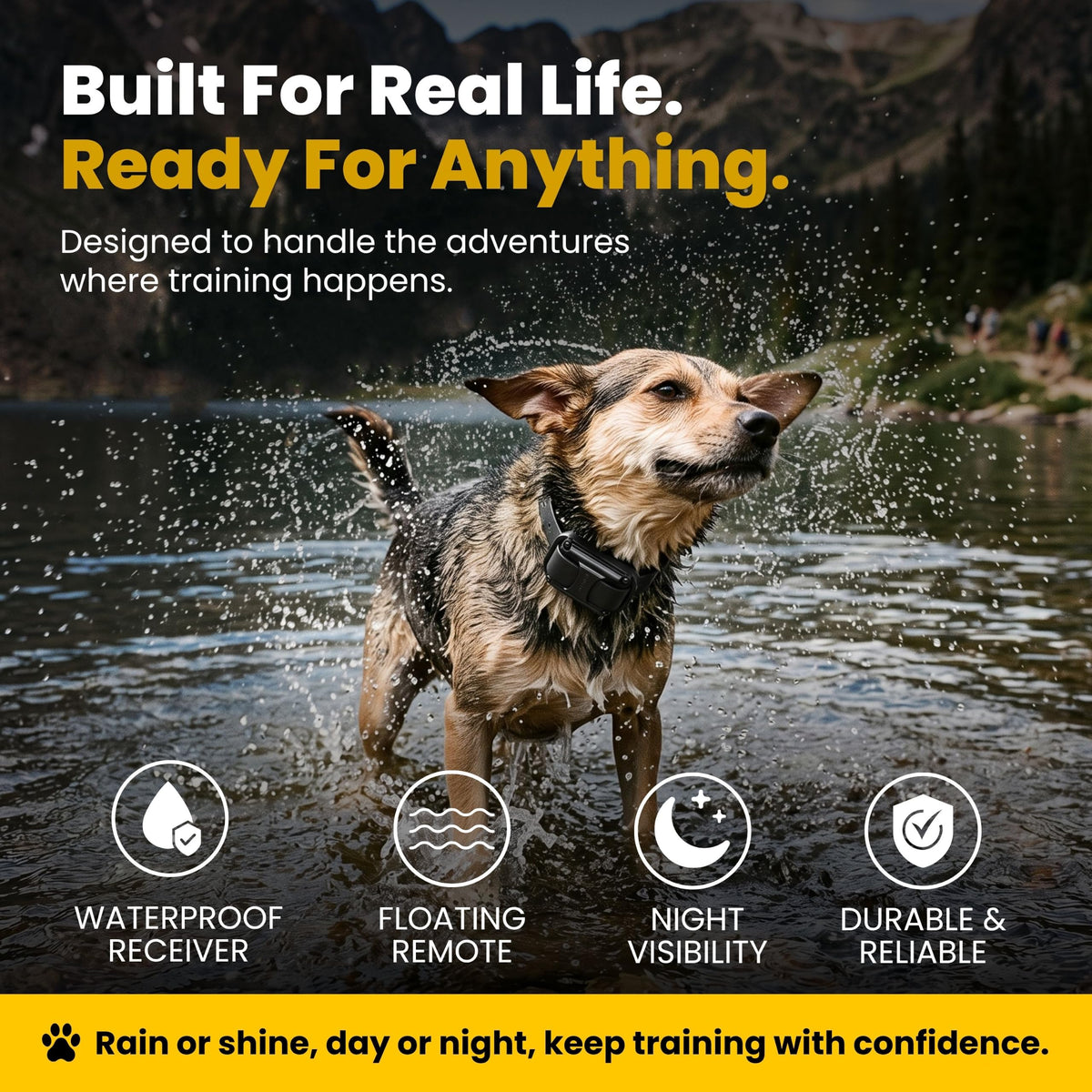 Waterproof Dog Training E Collar with Remote F516409