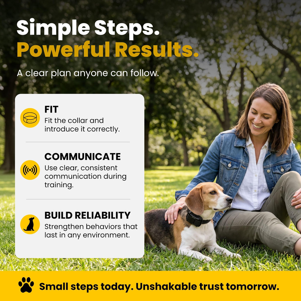 Waterproof Dog Training E Collar with Remote F516409